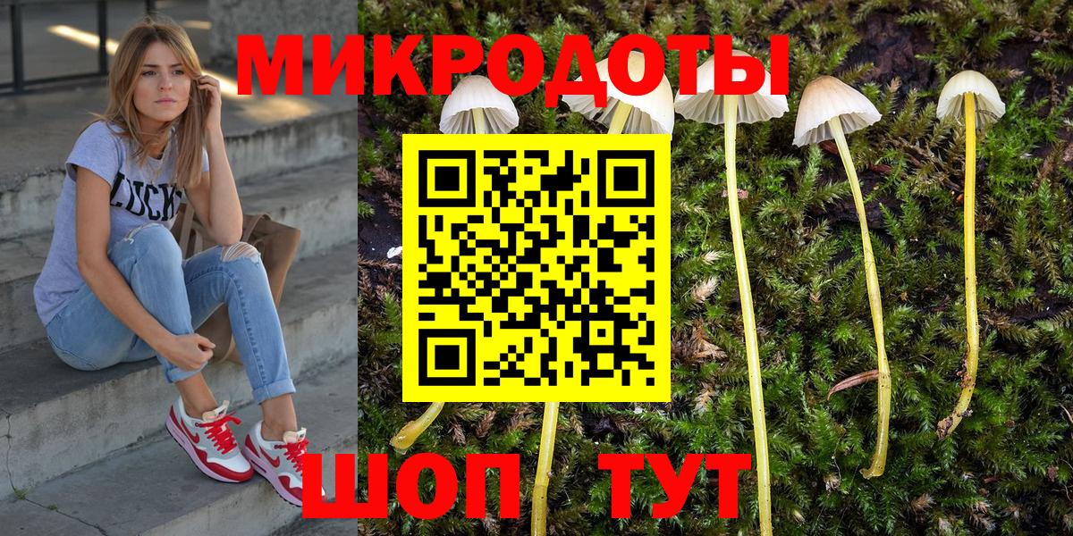 Галлюциногенные грибы Cubensis Волхов